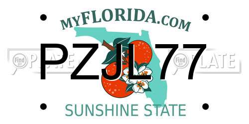 PZJL77 Florida License Plate