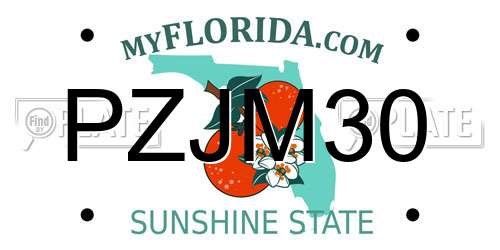 PZJM30 Florida License Plate