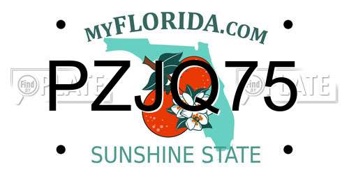 PZJQ75 Florida License Plate