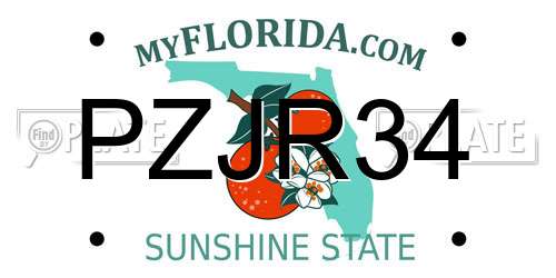 PZJR34 Florida License Plate