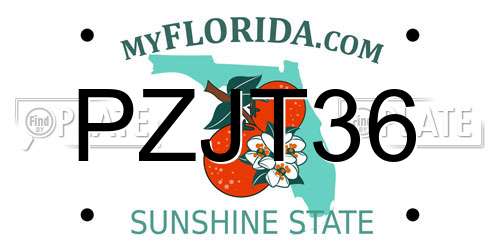 PZJT36 Florida License Plate