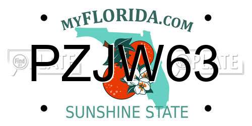 PZJW63 Florida License Plate