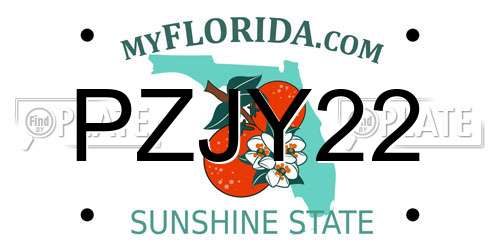 PZJY22 Florida License Plate
