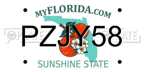 PZJY58 Florida License Plate