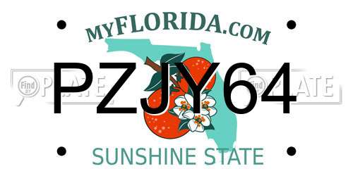 PZJY64 Florida License Plate