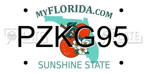 PZKG95 Florida License Plate
