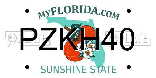 PZKH40 Florida License Plate