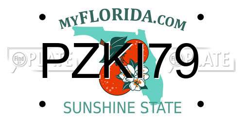 PZKI79 Florida License Plate