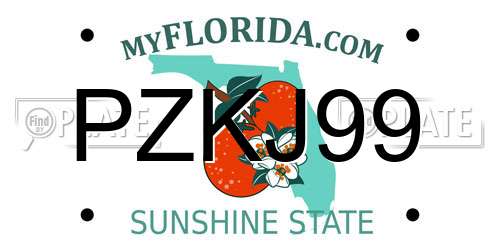 PZKJ99 Florida License Plate