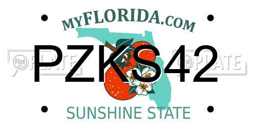 PZKS42 Florida License Plate