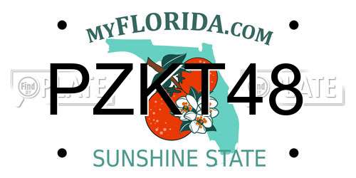 PZKT48 Florida License Plate
