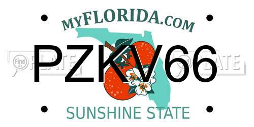 PZKV66 Florida License Plate