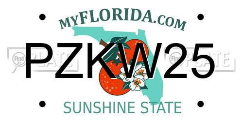 PZKW25 Florida License Plate