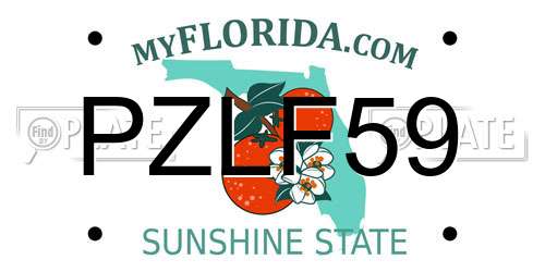 PZLF59 Florida License Plate