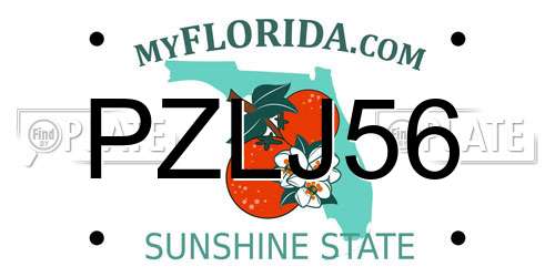 PZLJ56 Florida License Plate
