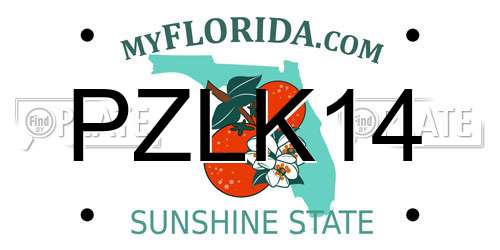 PZLK14 Florida License Plate
