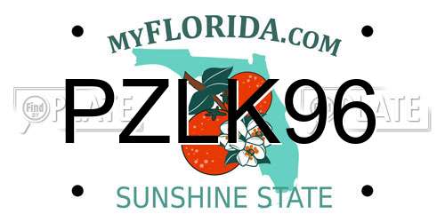 PZLK96 Florida License Plate