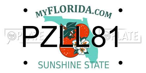 PZLL81 Florida License Plate