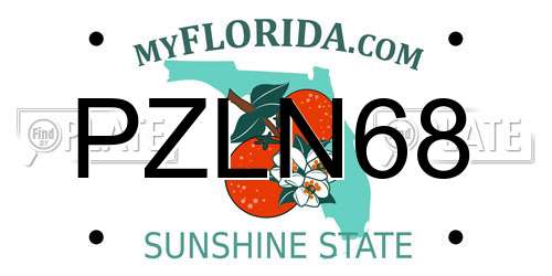 PZLN68 Florida License Plate