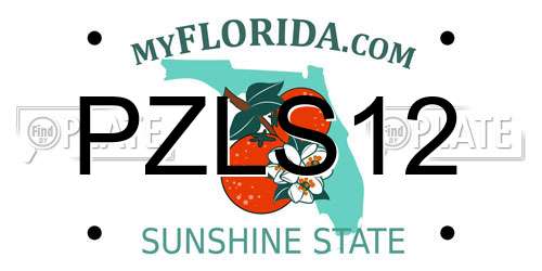 PZLS12 Florida License Plate