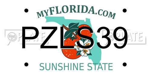 PZLS39 Florida License Plate