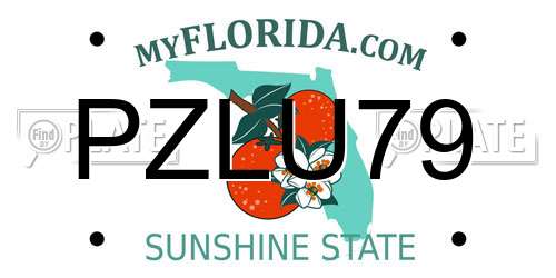 PZLU79 Florida License Plate