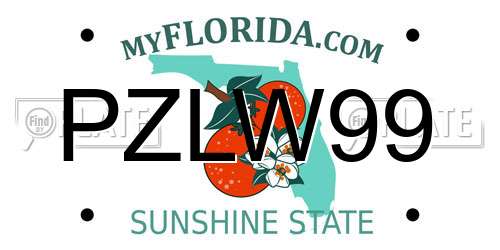 PZLW99 Florida License Plate