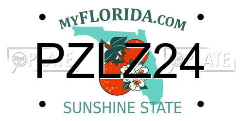 PZLZ24 Florida License Plate