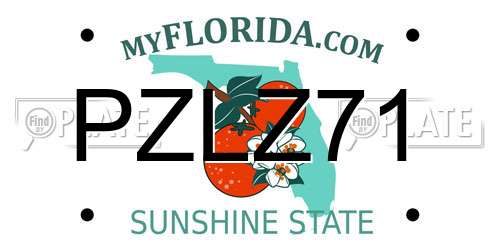 PZLZ71 Florida License Plate