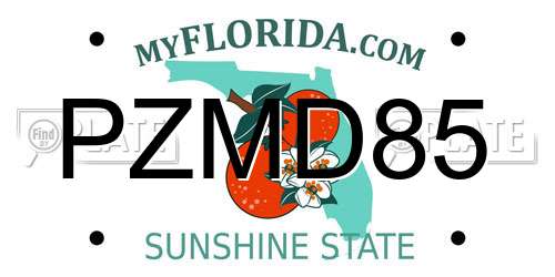 PZMD85 Florida License Plate