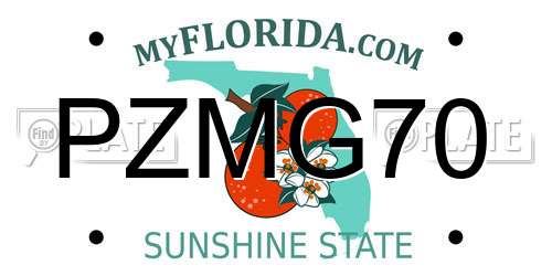 PZMG70 Florida License Plate