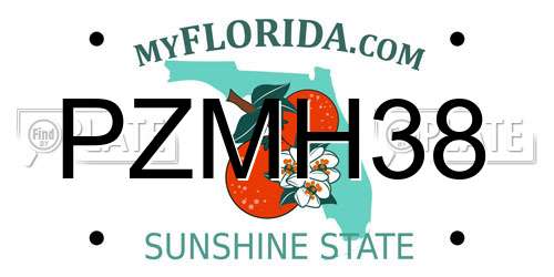 PZMH38 Florida License Plate