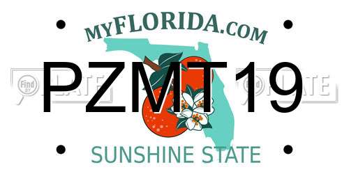 PZMT19 Florida License Plate