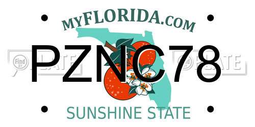 PZNC78 Florida License Plate