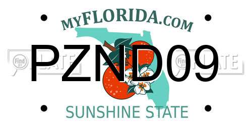 PZND09 Florida License Plate