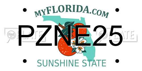 PZNE25 Florida License Plate