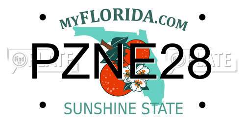 PZNE28 Florida License Plate