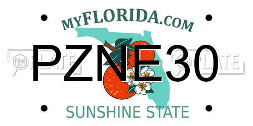 PZNE30 Florida License Plate