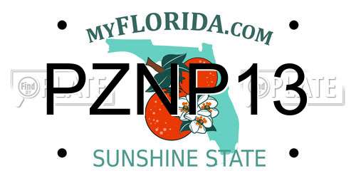 PZNP13 Florida License Plate