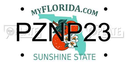 PZNP23 Florida License Plate