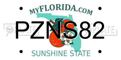 PZNS82 Florida License Plate