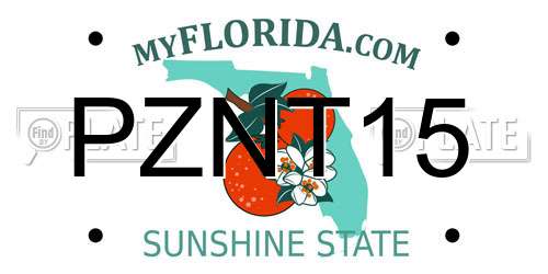 PZNT15 Florida License Plate