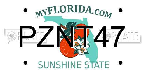 PZNT47 Florida License Plate