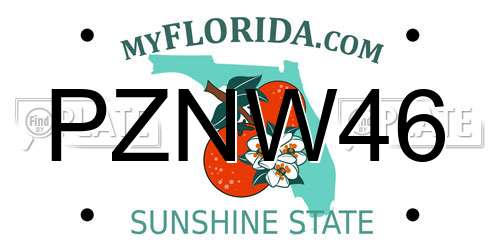 PZNW46 Florida License Plate