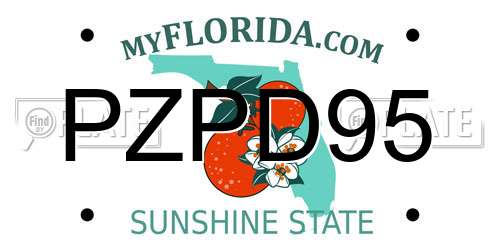 PZPD95 Florida License Plate