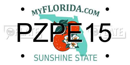 PZPE15 Florida License Plate