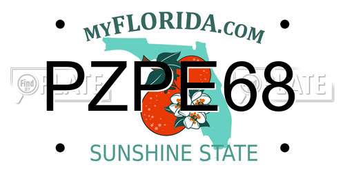 PZPE68 Florida License Plate