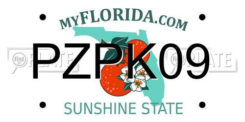 PZPK09 Florida License Plate