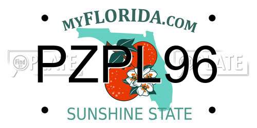 PZPL96 Florida License Plate
