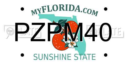 PZPM40 Florida License Plate